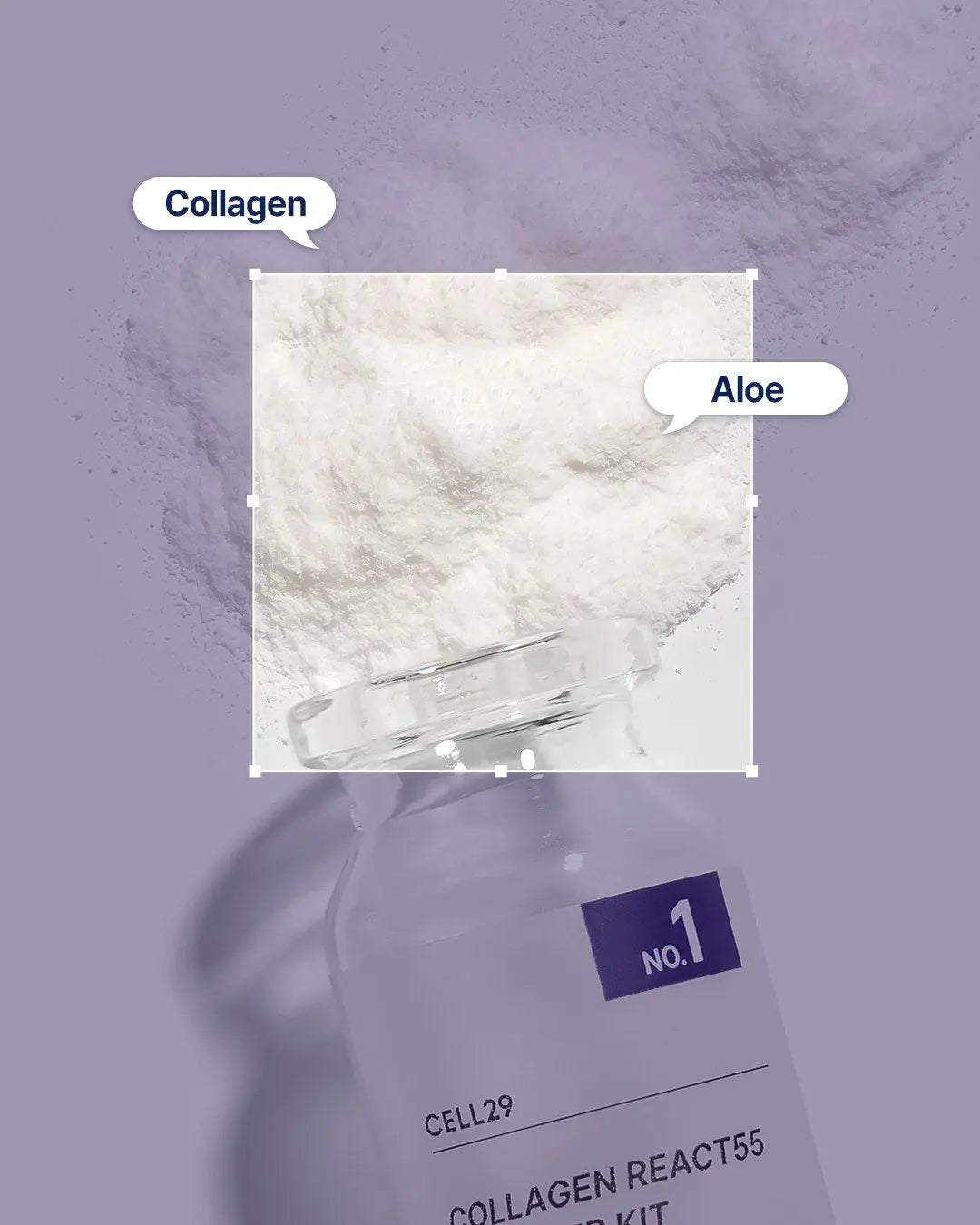 Collagen React55 Booster Kit CELL:29
