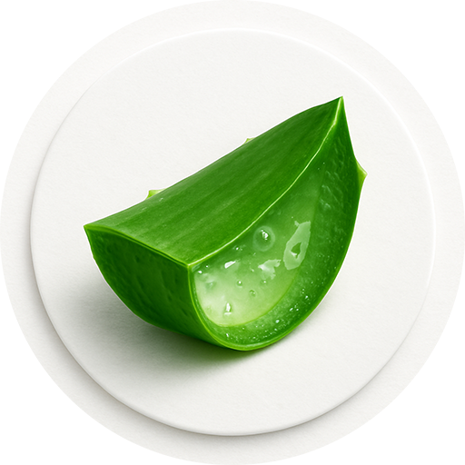 Aloe