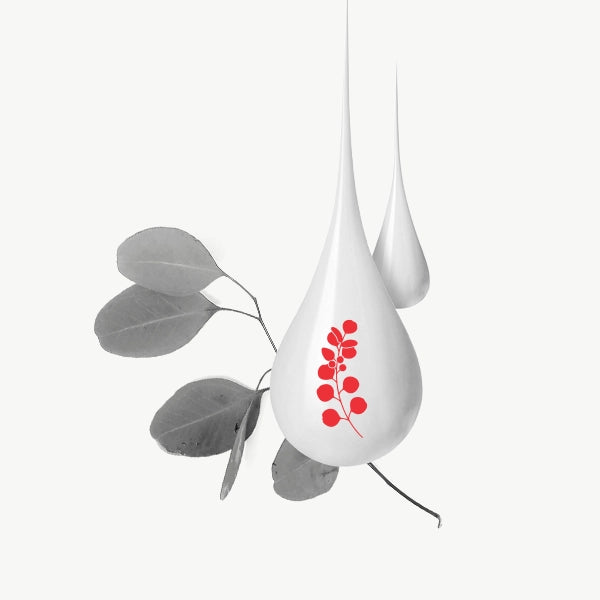 Eucalyptus Leaf Oil