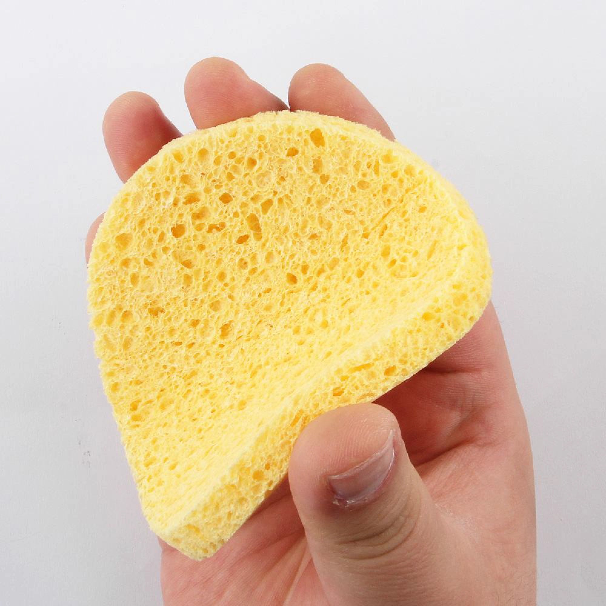 Cleansing Sponge