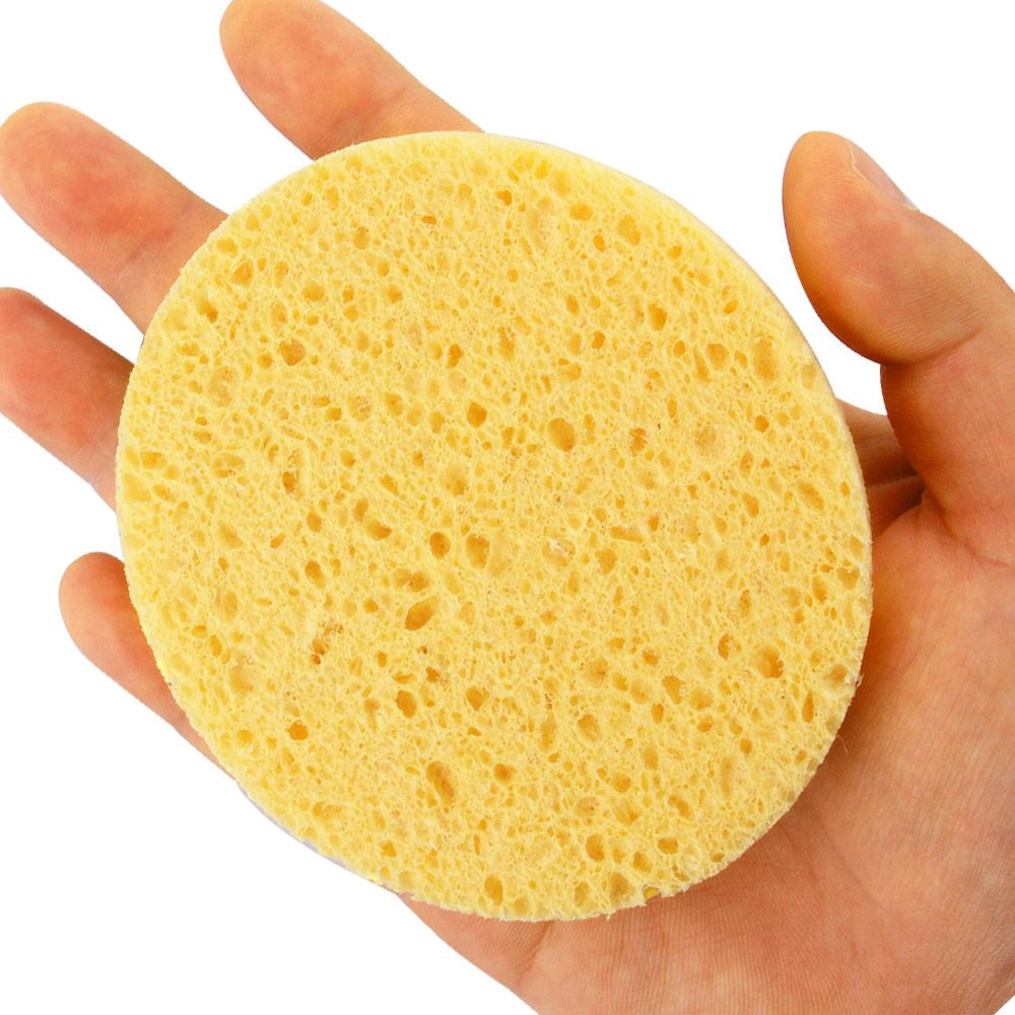 Cleansing Sponge