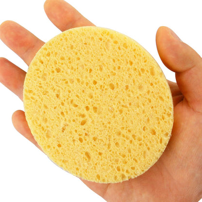Cleansing Sponge