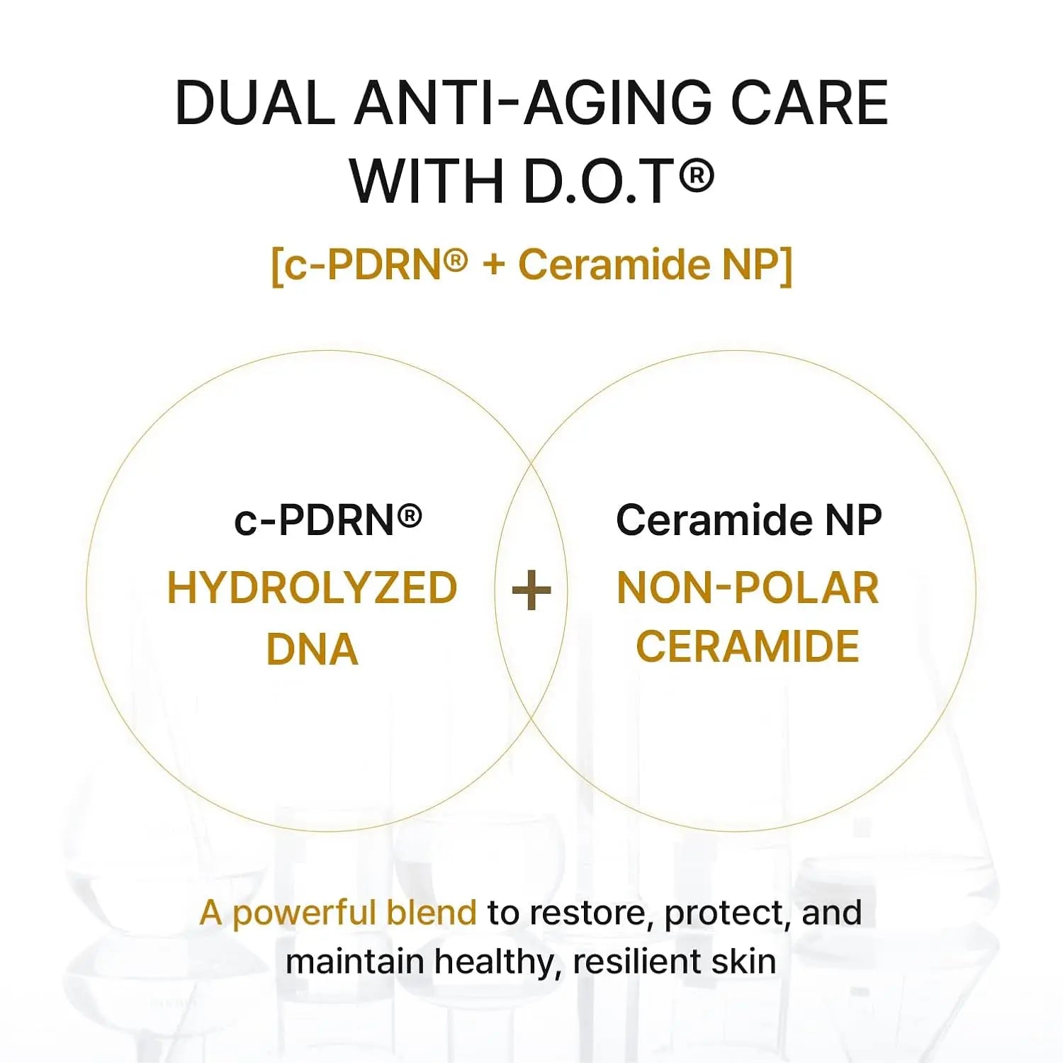 Rejuran Dual Effect Ampoule Pharma Research Products