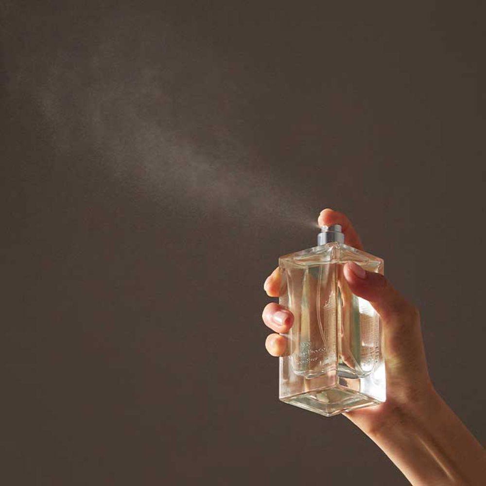 Tender Garden Morning Breeze Room Spray Nr.51 - Filler Lux